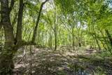 Tract 7 County Road 4221 - Photo 13