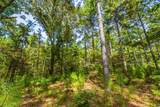 Tract 7 County Road 4221 - Photo 14