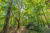 Tract 7 County Road 4221 - Photo 15
