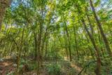 Tract 7 County Road 4221 - Photo 17