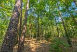 Tract 7 County Road 4221 - Photo 18