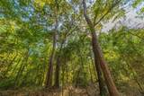 Tract 7 County Road 4221 - Photo 20