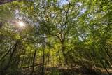 Tract 7 County Road 4221 - Photo 23