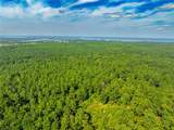 Tract 7 County Road 4221 - Photo 28