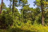 Tract 7 County Road 4221 - Photo 3