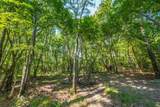 Tract 8 County Road 4221 - Photo 12
