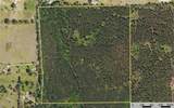 Tract 8 County Road 4221 - Photo 23