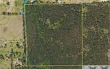 Tract 8 County Road 4221 - Photo 24