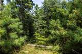 Tract 10 County Road 4222 - Photo 11