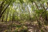 Tract 10 County Road 4222 - Photo 12