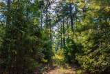 Tract 10 County Road 4222 - Photo 16