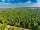 Tract 10 County Road 4222 - Photo 23