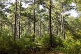 Tract 10 County Road 4222 - Photo 5