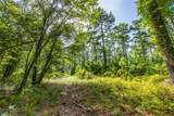 Tract 10 County Road 4222 - Photo 8