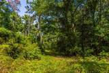 Tract 10 County Road 4222 - Photo 9