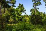 Tract 11 County Road 4222 - Photo 12