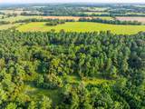 Tract 11 County Road 4222 - Photo 19