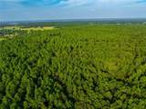 Tract 11 County Road 4222 - Photo 23