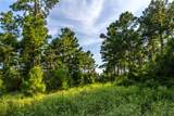 Tract 11 County Road 4222 - Photo 3