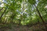 Tract 11 County Road 4222 - Photo 8
