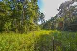 Tract 17 County Road 4224 - Photo 3