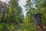 Tract 17 County Road 4224 - Photo 7