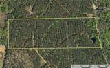 Tract 18 County Road 4224 - Photo 10