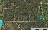 Tract 18 County Road 4224 - Photo 11