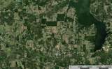 Tract 20 County Road 4224 - Photo 12
