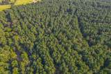Tract 20 County Road 4224 - Photo 2