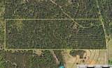 Tract 21 County Road 4224 - Photo 11