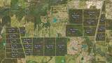 Tract 21 County Road 4224 - Photo 13