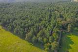 Tract 21 County Road 4224 - Photo 2