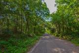 Tract 21 County Road 4224 - Photo 4