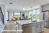 1101 Carnation Drive - Photo 8