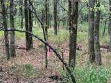 TBD County Road 4727 - Photo 15