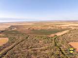 TBD County Road 158 - Photo 11
