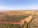 TBD County Road 158 - Photo 12