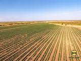 TBD County Road 158 - Photo 13