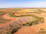 TBD County Road 158 - Photo 15