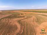 TBD County Road 158 - Photo 20