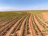 TBD County Road 158 - Photo 21