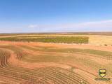 TBD County Road 158 - Photo 22