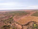 TBD County Road 158 - Photo 25