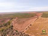 TBD County Road 158 - Photo 26