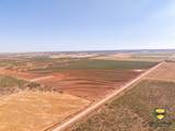 TBD County Road 158 - Photo 27