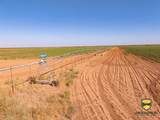 TBD County Road 158 - Photo 29