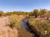 TBD County Road 158 - Photo 32