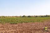 TBD County Road 158 - Photo 34