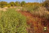 TBD County Road 158 - Photo 37